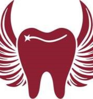 ZAP Engel Logo